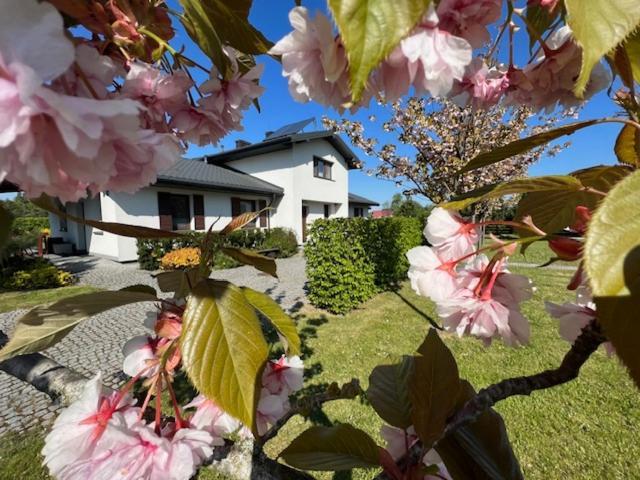Villa Na Skraju Puszczy Hajnówka Exterior foto