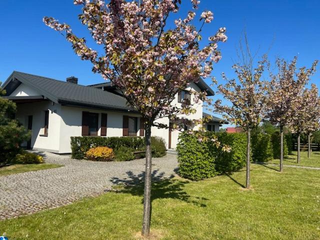 Villa Na Skraju Puszczy Hajnówka Exterior foto
