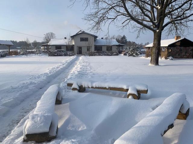 Villa Na Skraju Puszczy Hajnówka Exterior foto